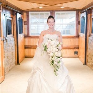 Wedding dress and veil